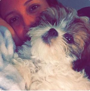 Meet your Posher, Diana